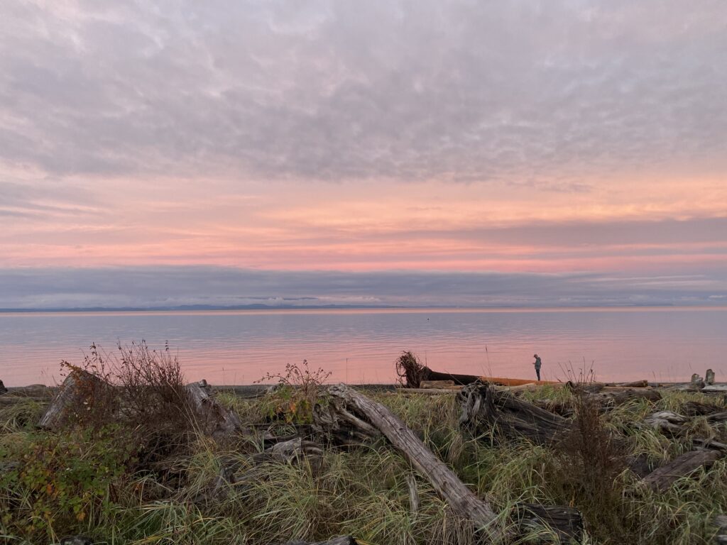 Beautiful photo of a cotton candy colored sunset over the ocean